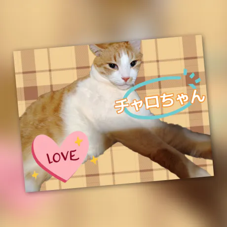 23日のお礼💌/あんり様(スレンダーS嬢)