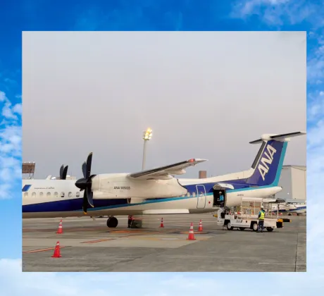 まいさん[青森]1日弘前MIMOSA