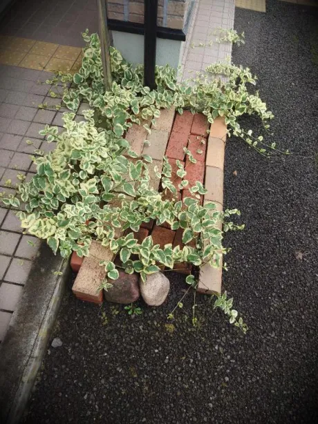 ★まみ★極上熟女店長激押し！のブログ おはようござます