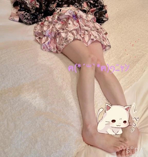 飼い主様に出会えますように🌙* :゚