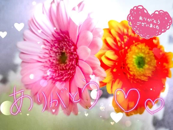 お礼となります