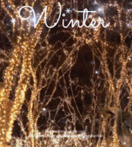 なみ 奥様のブログ もう見ましたか！？♪