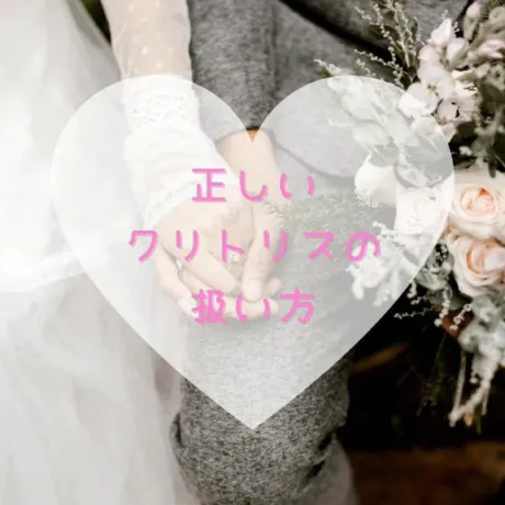 なつみ(痴女)人妻生レンタルーNTRー