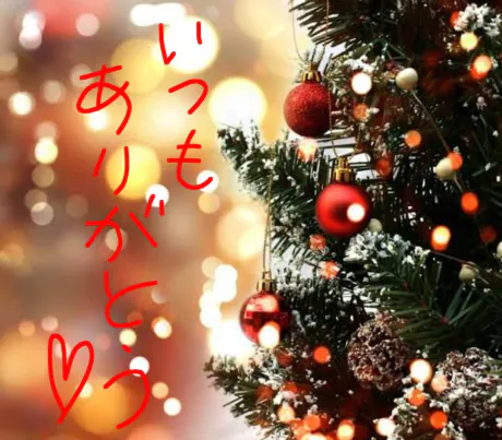 ふゆこのブログ 冬至とクリスマス
