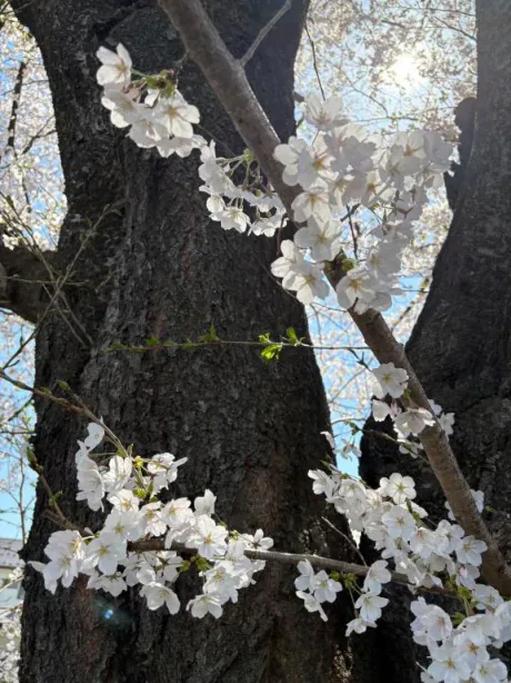 \(*°д°)ﾉﾀﾞﾚｶ～⭐️⭐️⭐️