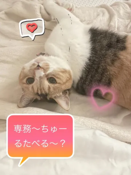 お部屋待ち𓏲ּ𝄢𓏲ּ𝄢/りく☆弘前