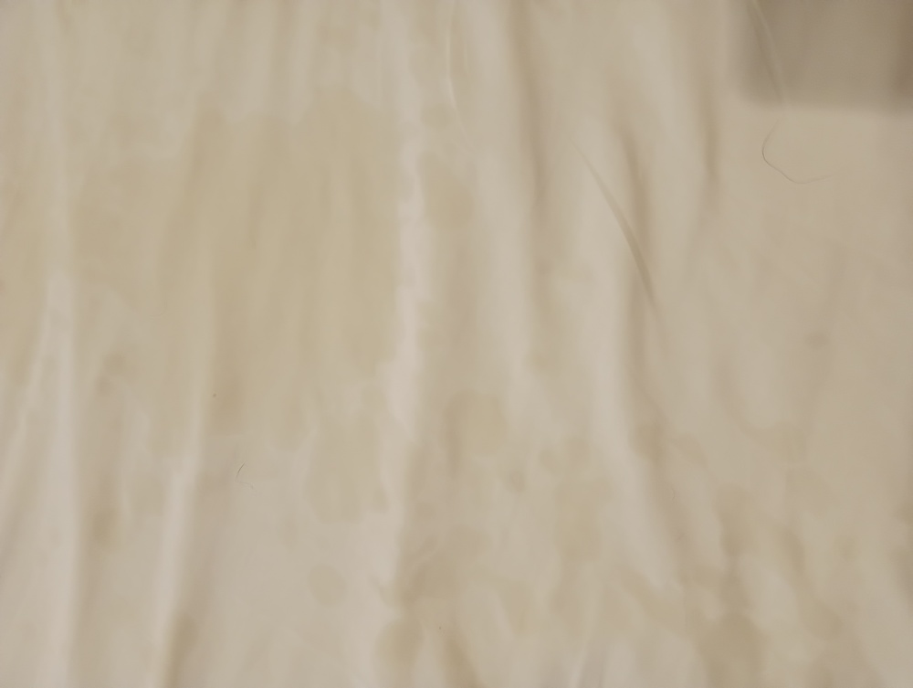 朝の・・・ 