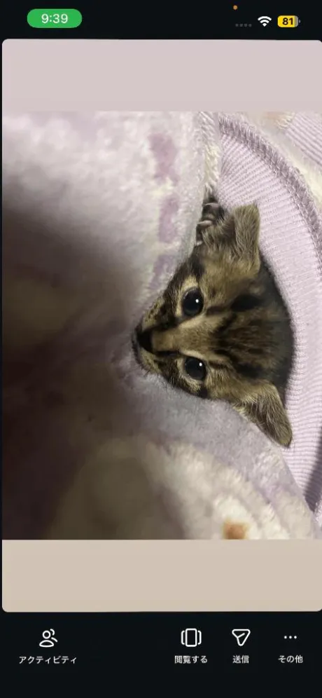 あめ宮城♂風俗の神様　仙台店