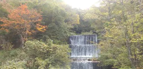 後藤(ごとう)熟女屋本舗