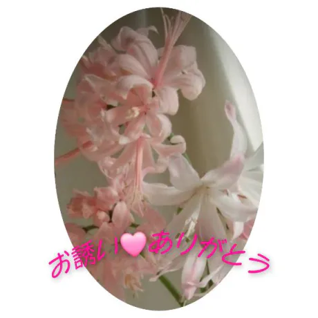 シズカ人妻生レンタルーNTRー