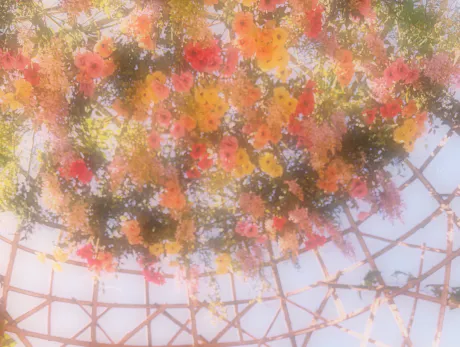 明日出勤です/はるな【青森大釈迦】