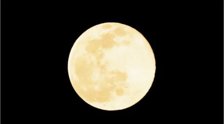 サービス抜群★なつみ十和田rose body