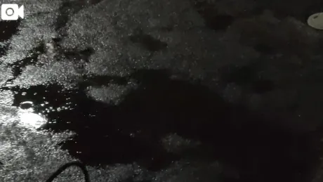 お疲れ様です😊/タエ