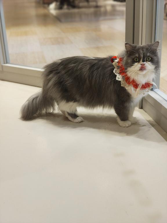 お疲れ様です🎀