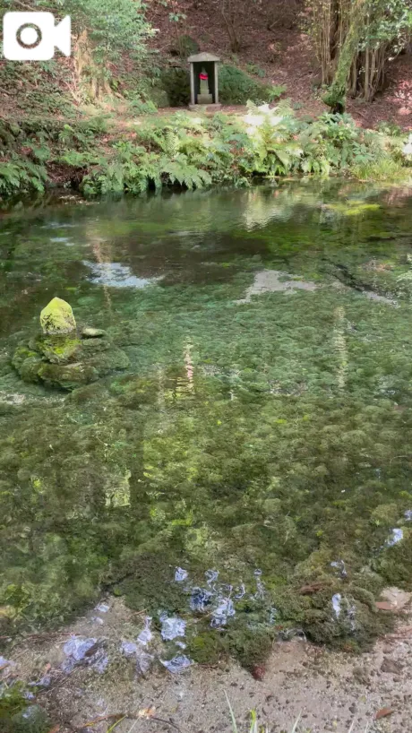 架純（かすみ）のブログ 涼しい