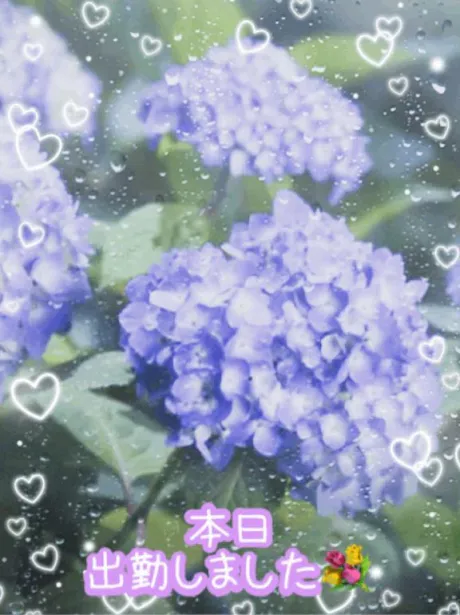 美優マダム DOLCE