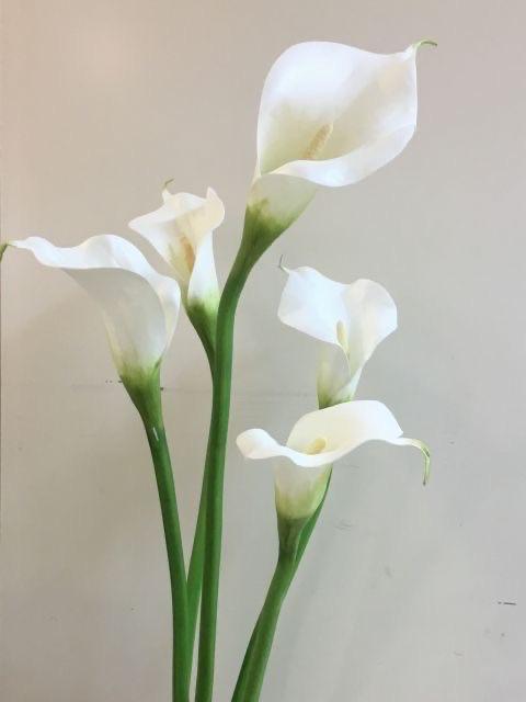 向かっております