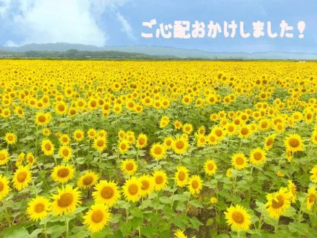 かえで愛 LAND-アイランド-
