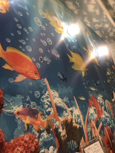 ランナDAYTONA-デイトナ-