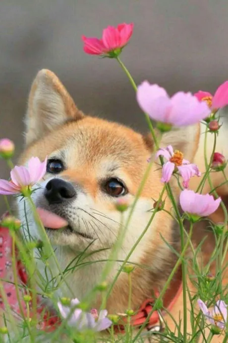 おはよう ( * ・ω・) ノ/★あん奥様