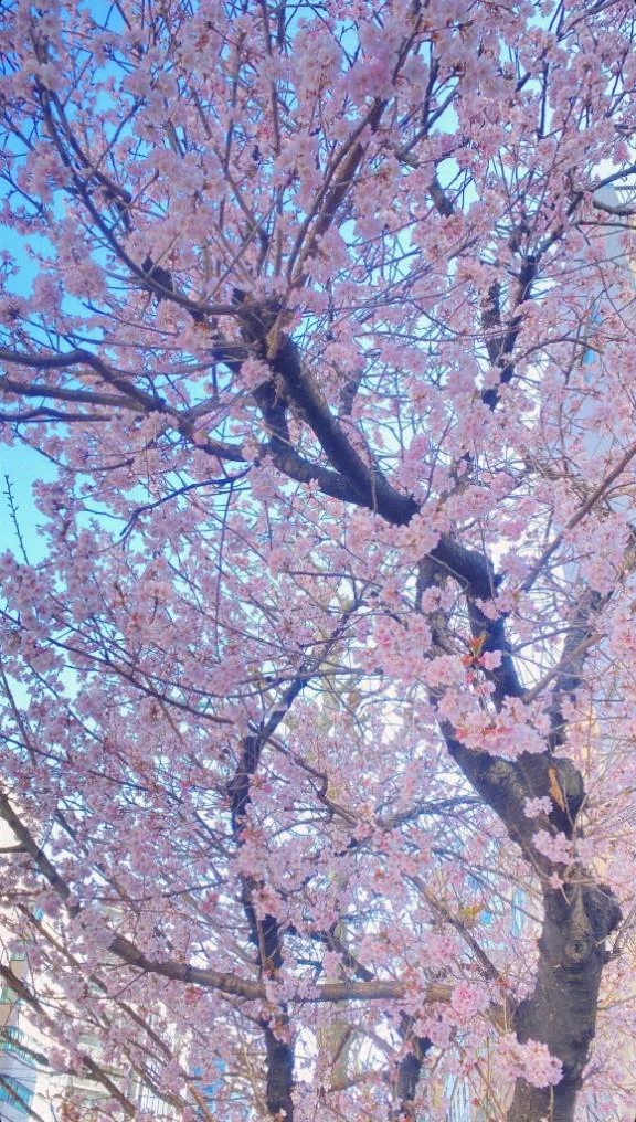 恵梨(えり)グランドオペラ福岡