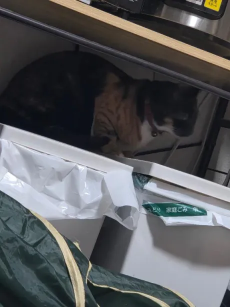やっと…帰って行った🍀/なお