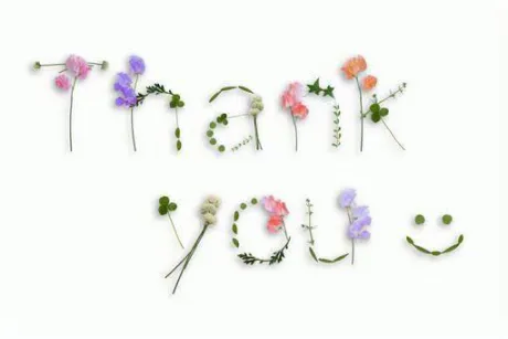 あおい奥様メモリアル