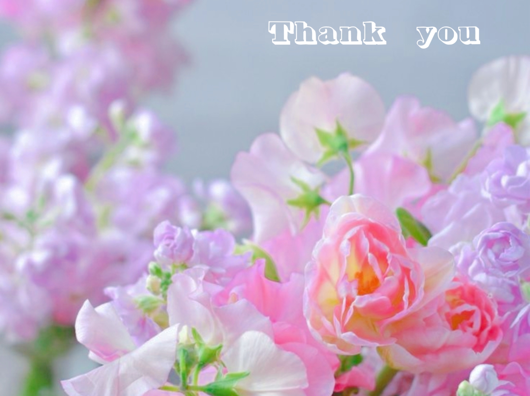 ご予約のお礼/ゆりか