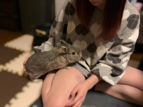 お礼💌  ̖́-‬うさぎ小屋🐰🥕