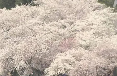 毎日、空を観察しましょ/みやび