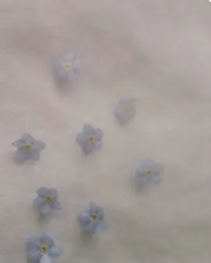 出勤いたしました