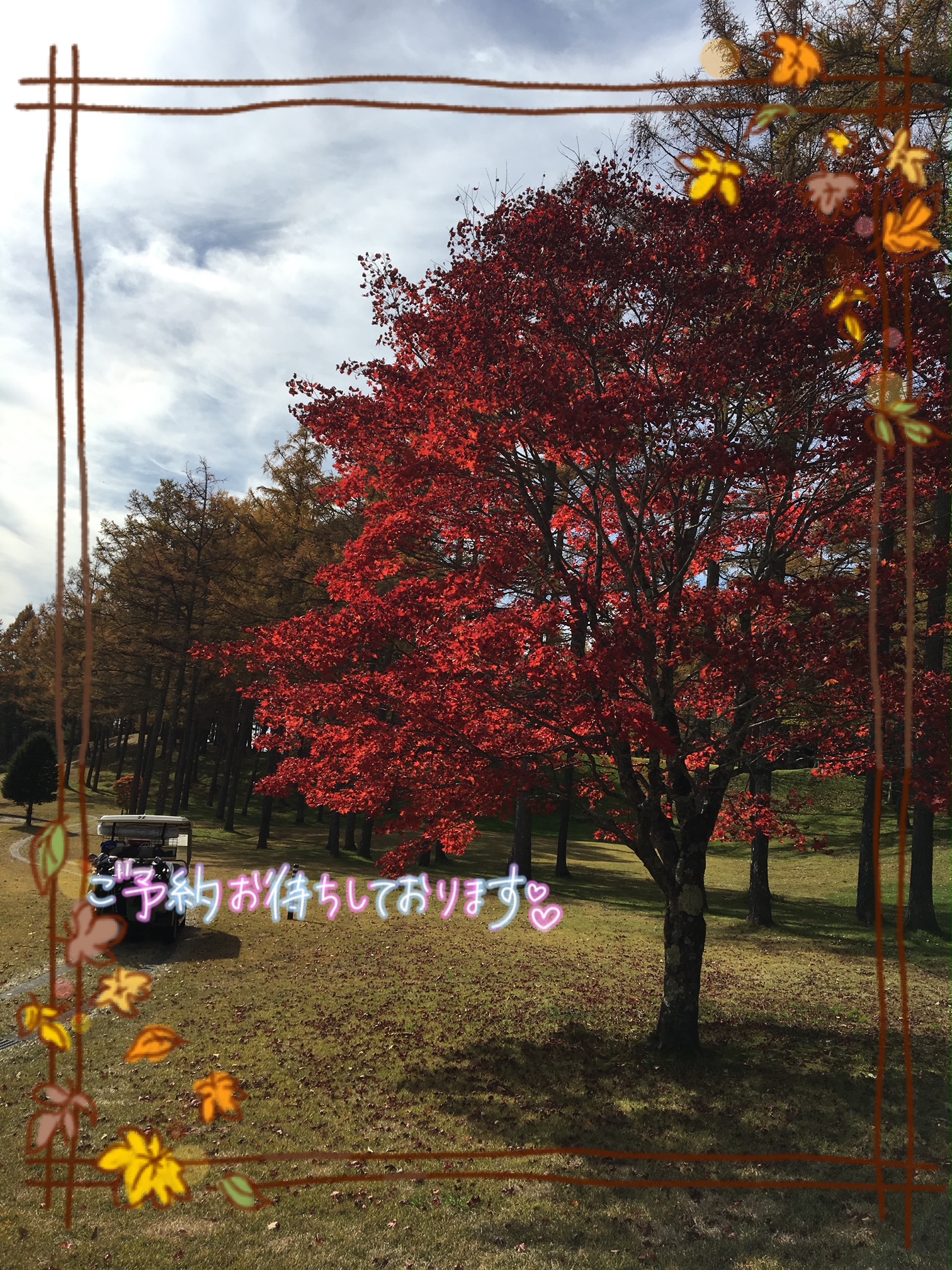 明日元気に出勤です😀