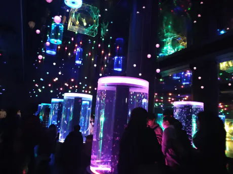 矢島　茉奈香Escort Club CLASSY