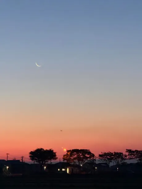 🌄/まる【未経験新人】