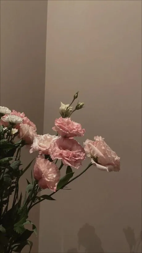 T様♡/乃々花(ののか)