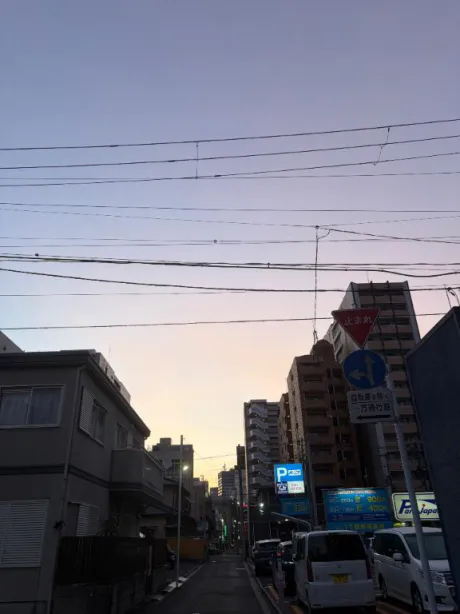 さりDeliysCure仙台