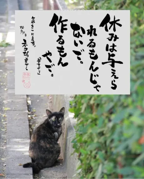 シオン人妻生レンタルーNTRー