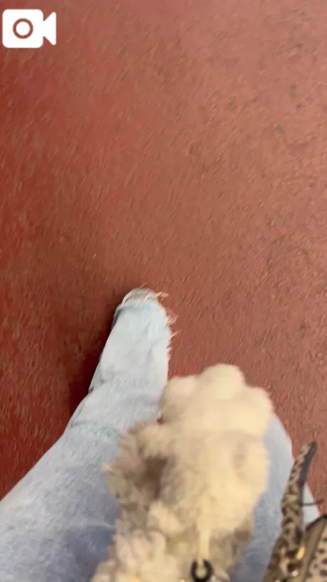 愛（あい）のブログ お祭り🧸❓