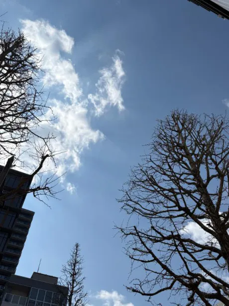 新人あず奥様メモリアル