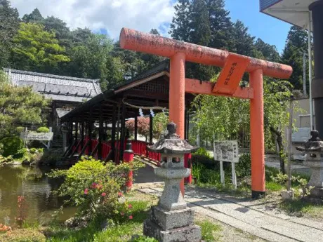★のえ★体験★ぽちゃかわデリバリー バルーン郡山店