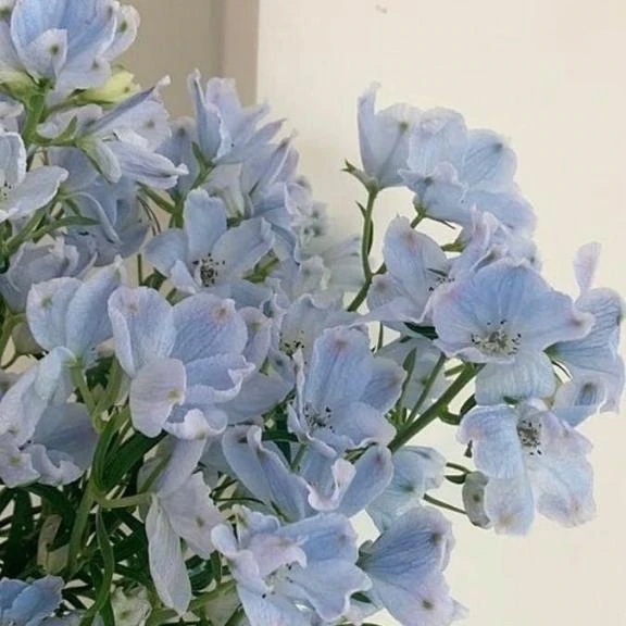 O様へ