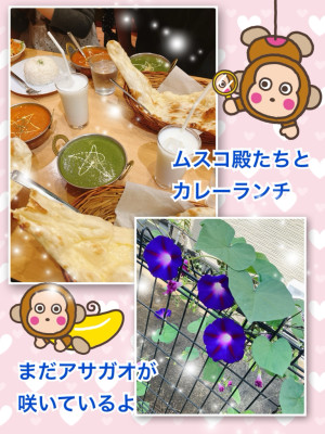 リセットしました☆
