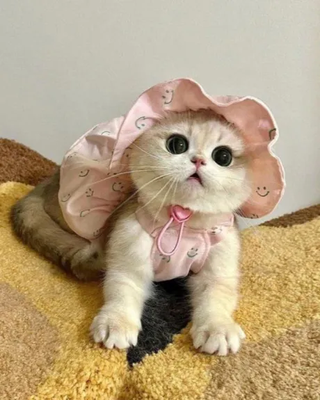 あのロイヤルクラブ