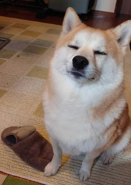 おはよう ( * ・ω・) ノ/なお