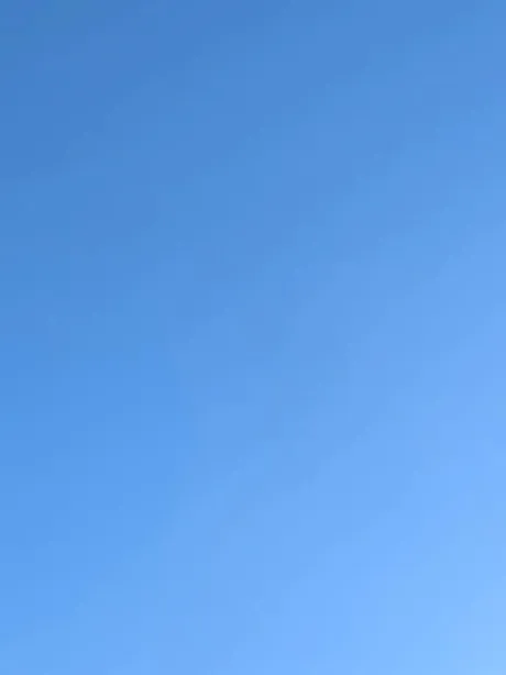 出勤しました/タエ