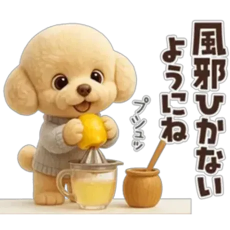 業界初まりん(弘前)ガチンコ