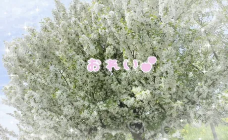 あみ 弘前平川黒石ちゃんこ
