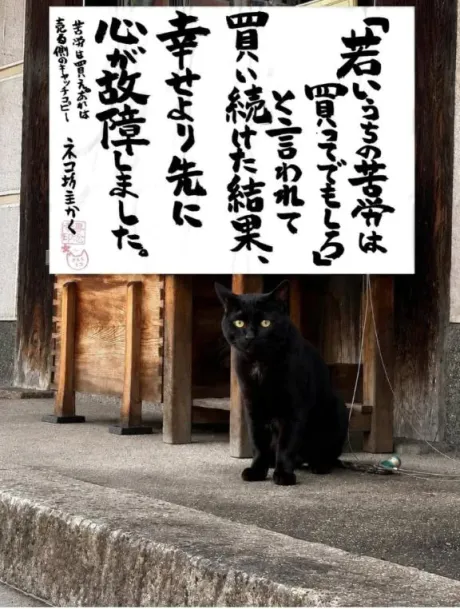 シオン人妻生レンタルーNTRー