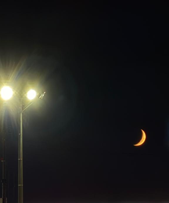 次回決まりました!