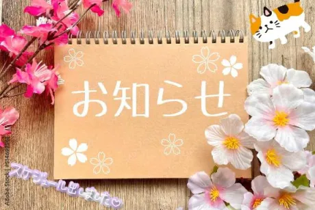 ちかげおばさんの店